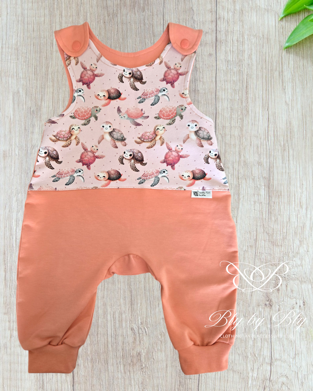 Salmon turtle